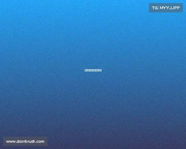 比赛的保险一般多少钱？